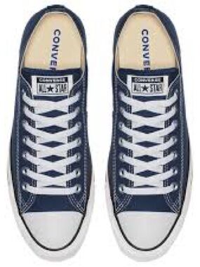 Converse Canvas Sneakers
